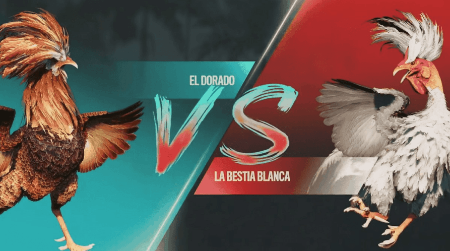 30game oficial Casino jogo site